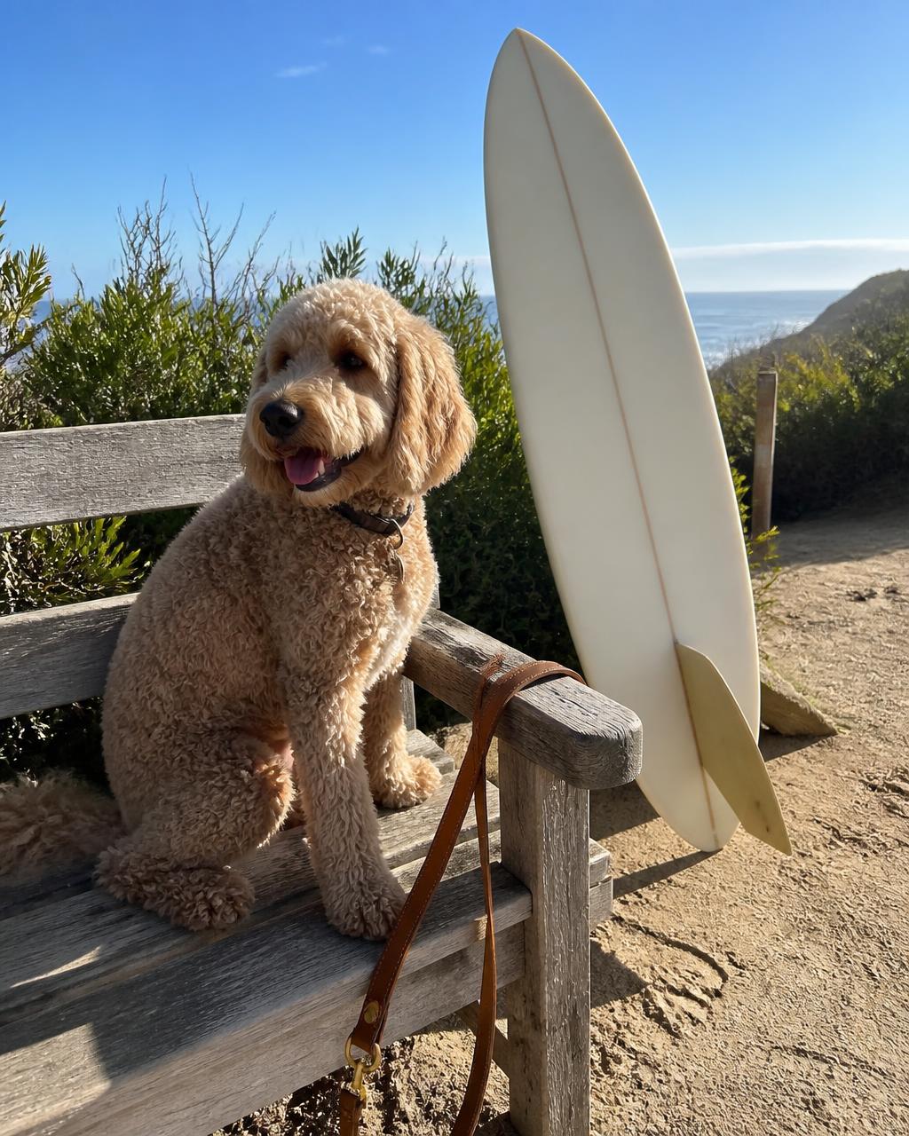 Daisy sits on a weathered timber beach bench beside a cream single fin surfboard with the leash draped over the arm.