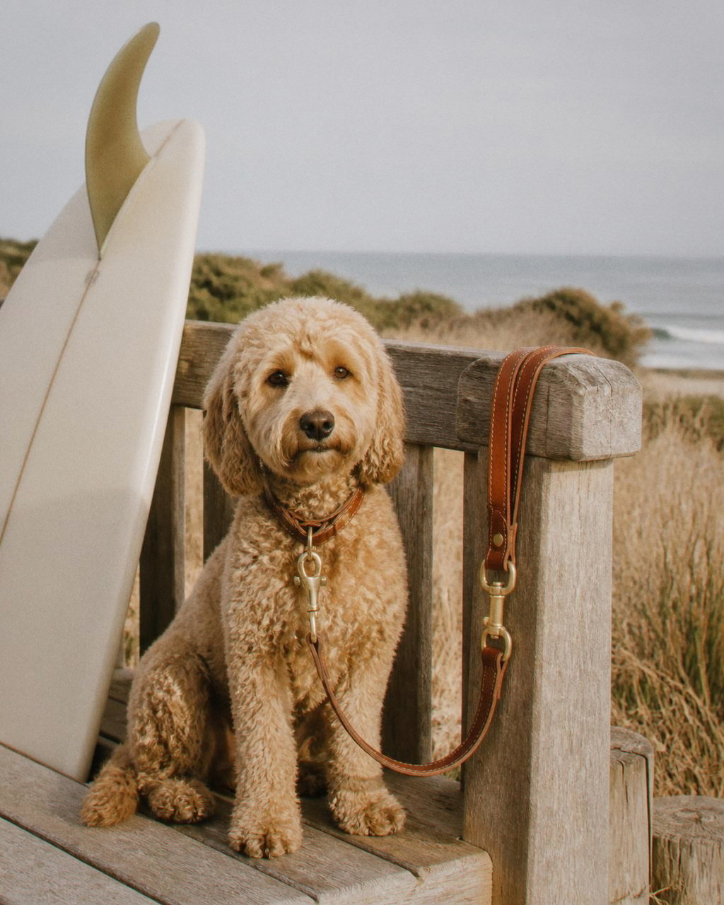 Daisy sits on a weathered timber beach bench beside a cream single fin surfboard with the cognac leash and brass hook looped over the rail.