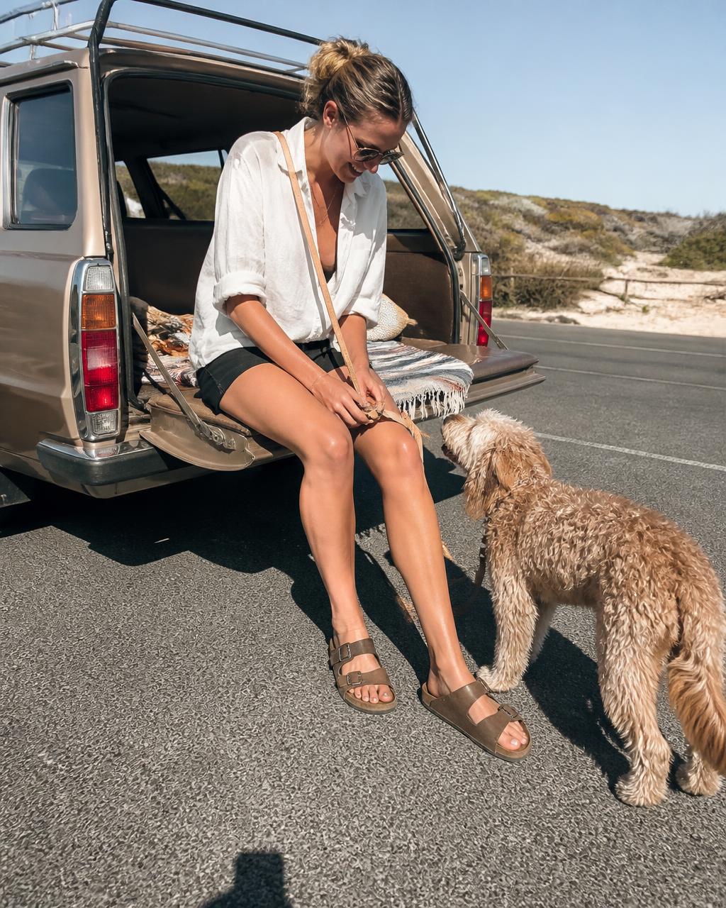 A woman sits in the open door of a vintage wagon at a beach car park with her spoodle looking up at her.