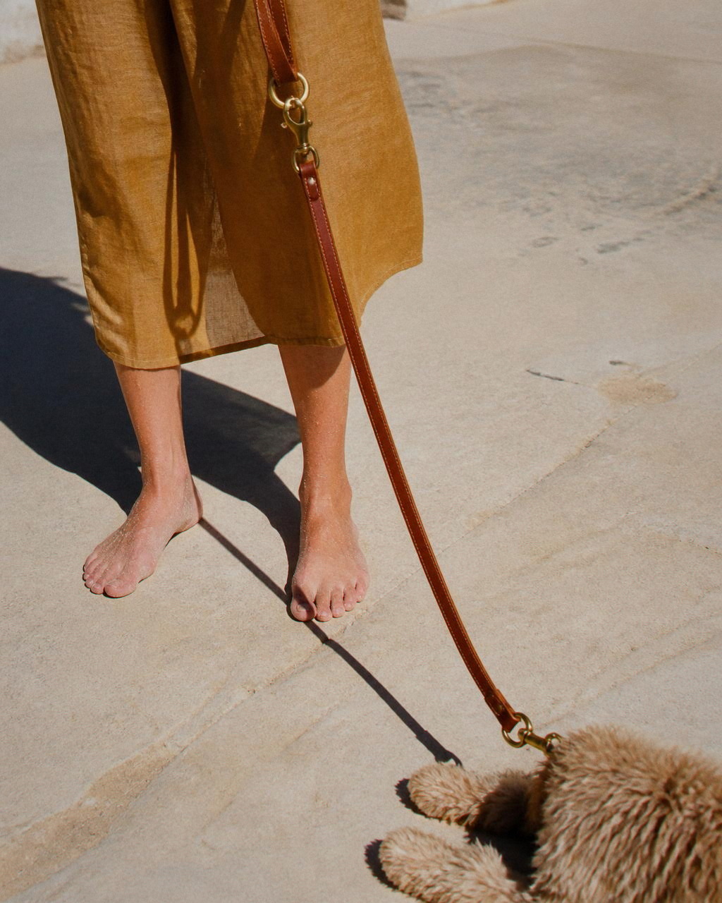 Bare feet on hot bleached sandstone, the cognac lead running down to Daisy's paws